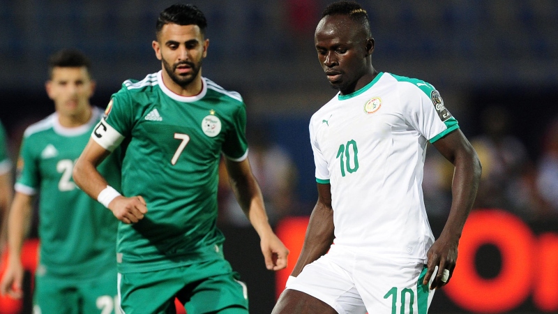 AFCON 2019 Final: Bettors Backing Algeria to Lift Trophy Against Senegal article feature image
