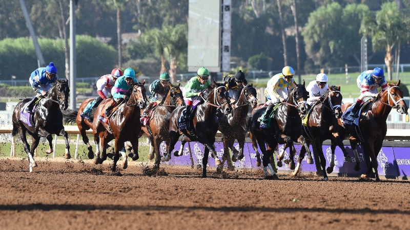 2019 Breeders’ Cup Classic Day Picks, Bets and Exotics Preview: Which Favorites Are Vulnerable at Santa Anita? article feature image