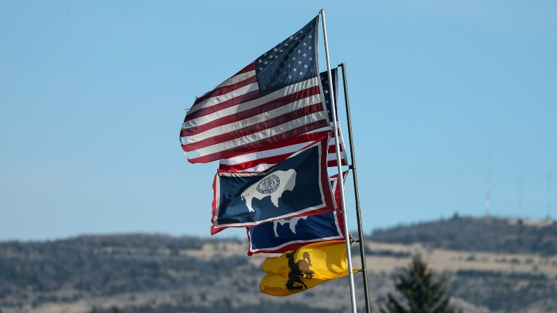 Windy Forecast Driving Nevada vs. Wyoming Over/Under Movement article feature image