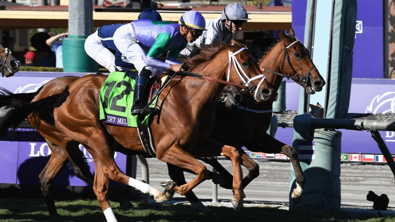 2019 Breeders’ Cup Classic Trifecta, Superfecta Betting Picks: Bet Against the Favorite McKinzie? article feature image
