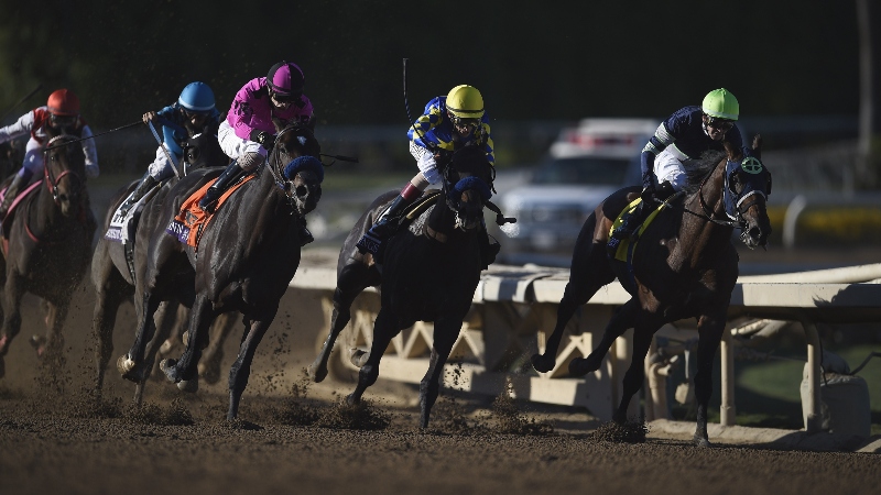 Zerillo’s 2019 Breeders’ Cup Classic Card: Bet Mitole to Win the Sprint? article feature image