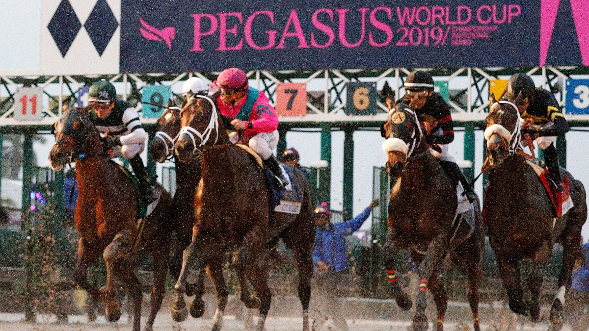 Zerillo: My Exotics Card For 2020 Pegasus World Cup Day article feature image
