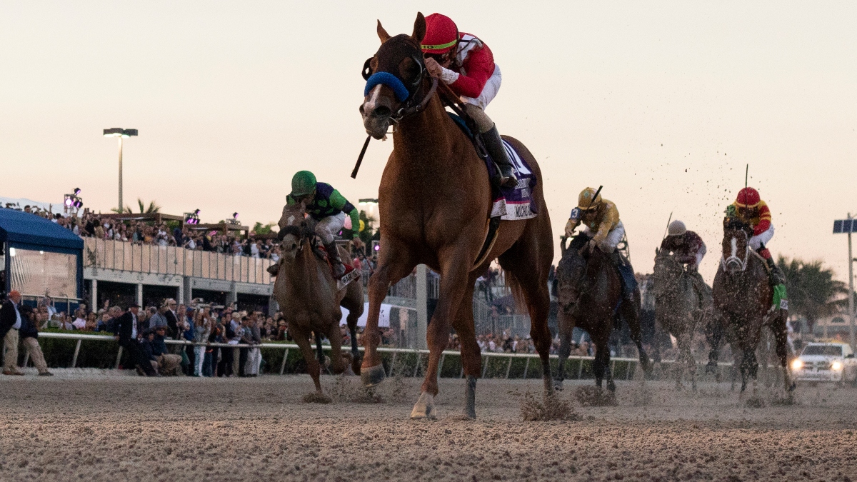 2020 Florida Derby Picks, Odds & Best Bets: The Horses That Can Upset Favorite Tiz the Law article feature image