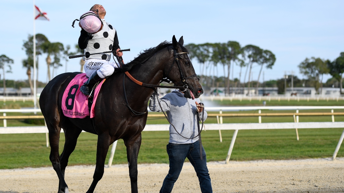 Horse Racing Picks & 2020 Florida Derby Exotics & Power Rankings: The Longshot Horses to Use in Exactas, Trifectas article feature image