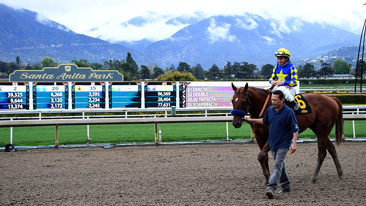 Sunday Night Horse Racing Picks How To Play The Sensational Star Sunday Night Horse Racing Picks How To Play The Sensational Star