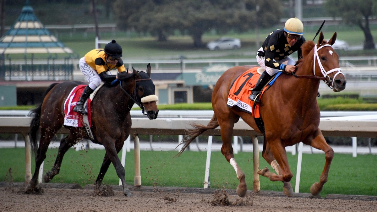 Horse Racing Picks for Saturday, March 21: Louisiana Derby Card at Fair Grounds, Stakes Races at Oaklawn & Santa Anita article feature image