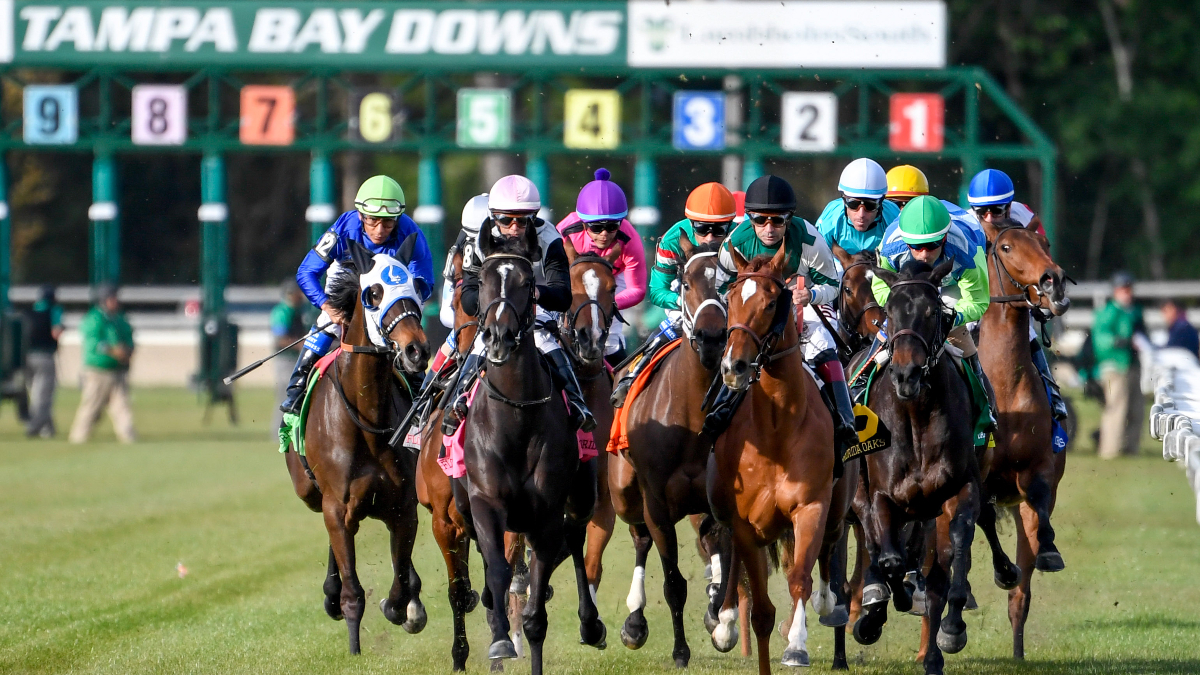 Horse Racing Picks for Wednesday, April 15 Best Value Bets for Tampa