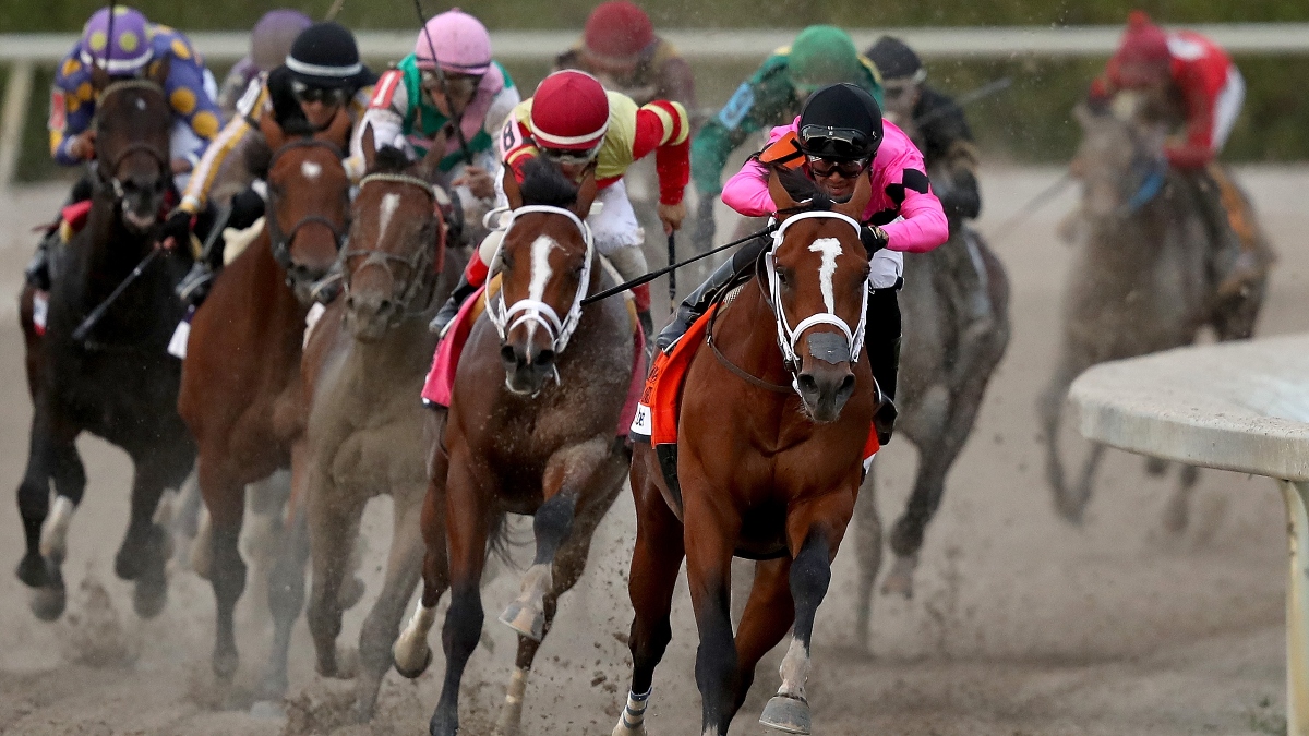 Gulfstream park horse racing odds