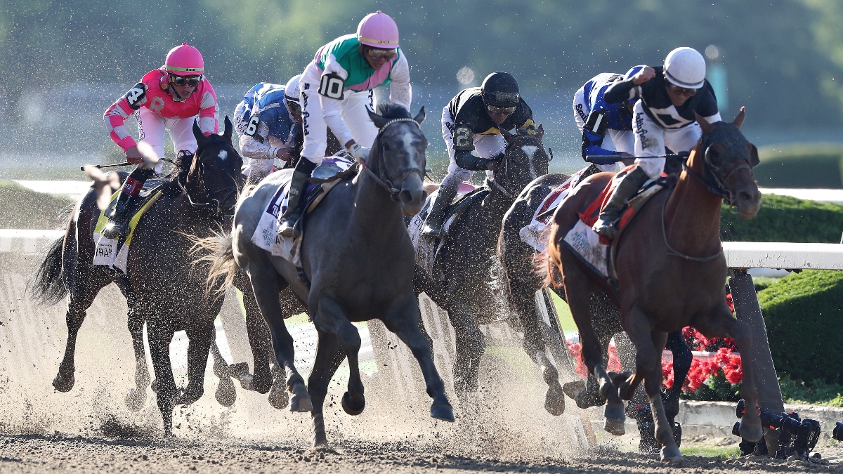 2020 Belmont Stakes Exotics Preview: Ranking the Longshots That Can Contend With Tiz The Law article feature image