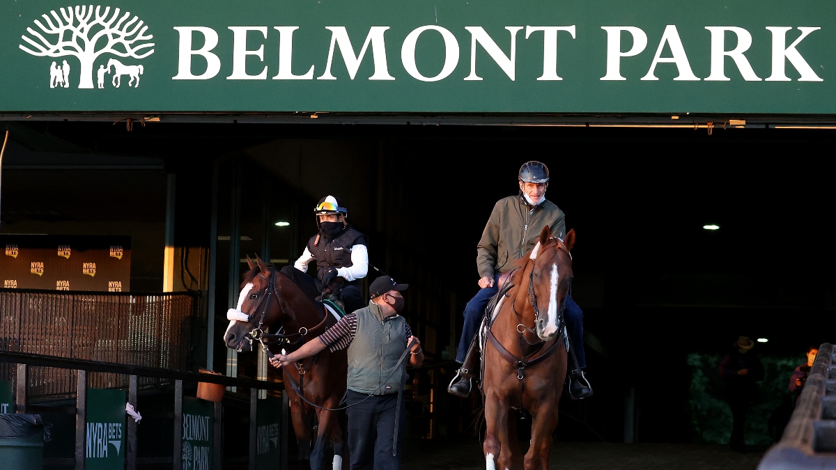Belmont Updated Odds