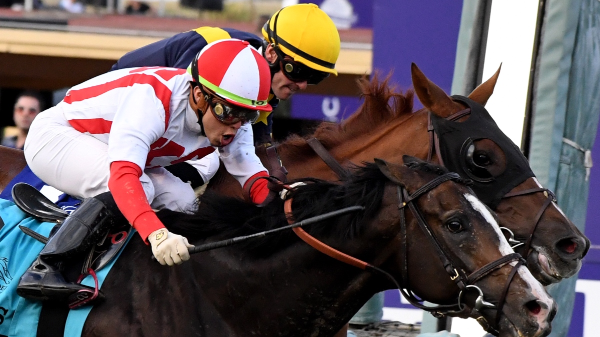 2020 Breeders’ Cup Betting Guide, Odds & Picks: Longshots, Exotics & Best Bets for 9 Races on Saturday article feature image