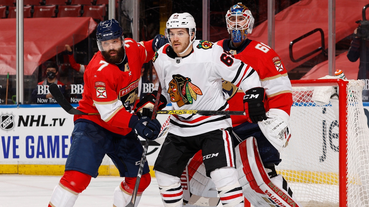 NHL Betting Picks: Our Favorite Bets for Tuesday, Jan. 19, Including Red Wings-Blue Jackets & Blackhawks-Panthers article feature image