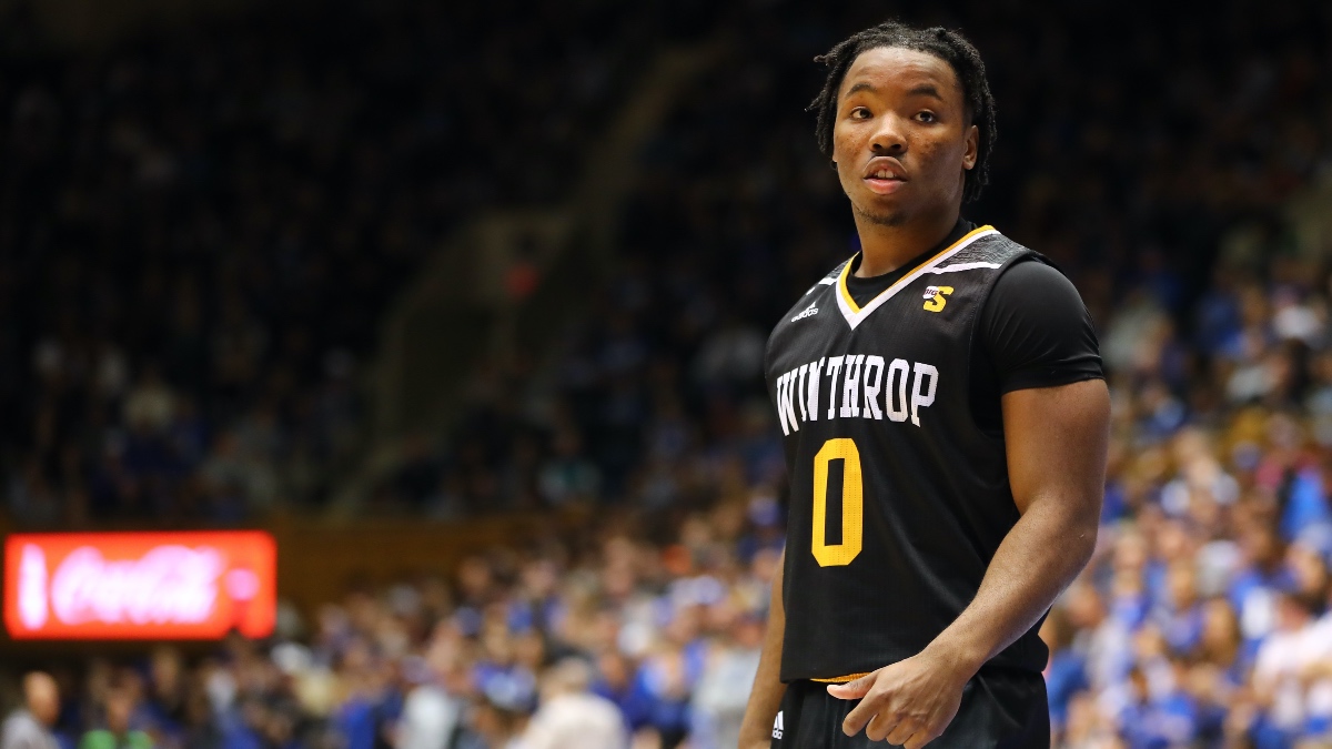 College Basketball Mid-Major Betting Report: Breaking Down Winthrop, Grand Canyon & Davidson article feature image