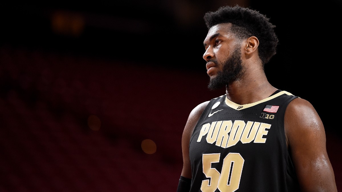 Purdue vs. North Texas Odds, Early Analysis & Pick For NCAA Tournament First Round article feature image