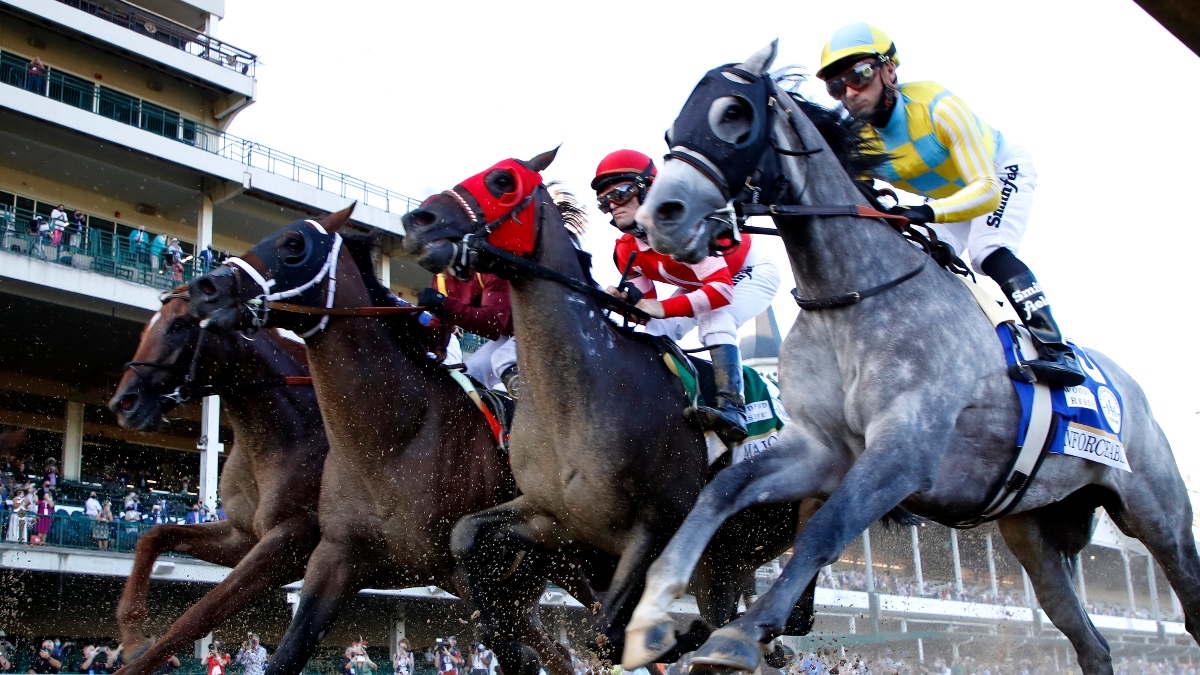 Kentucky Derby Odds, Promo: Get a $300 Risk-Free Bet at TVG! article feature image