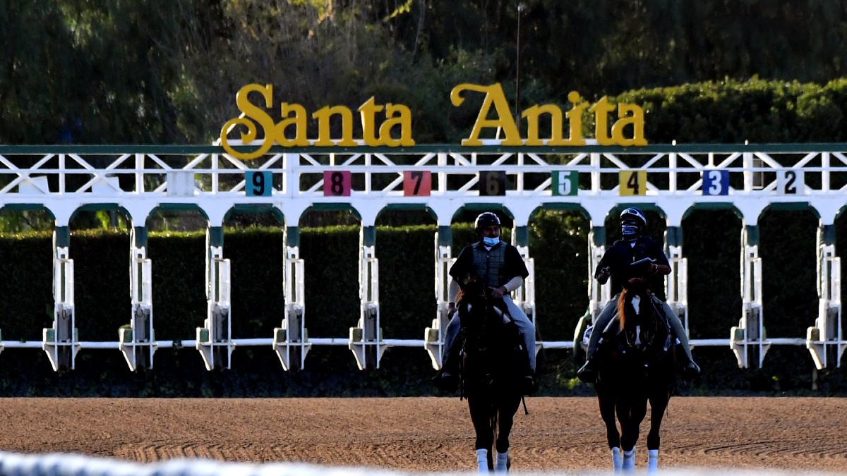 Horse Bettor Turns $64 Into Massive Jackpot at Santa Anita article feature image
