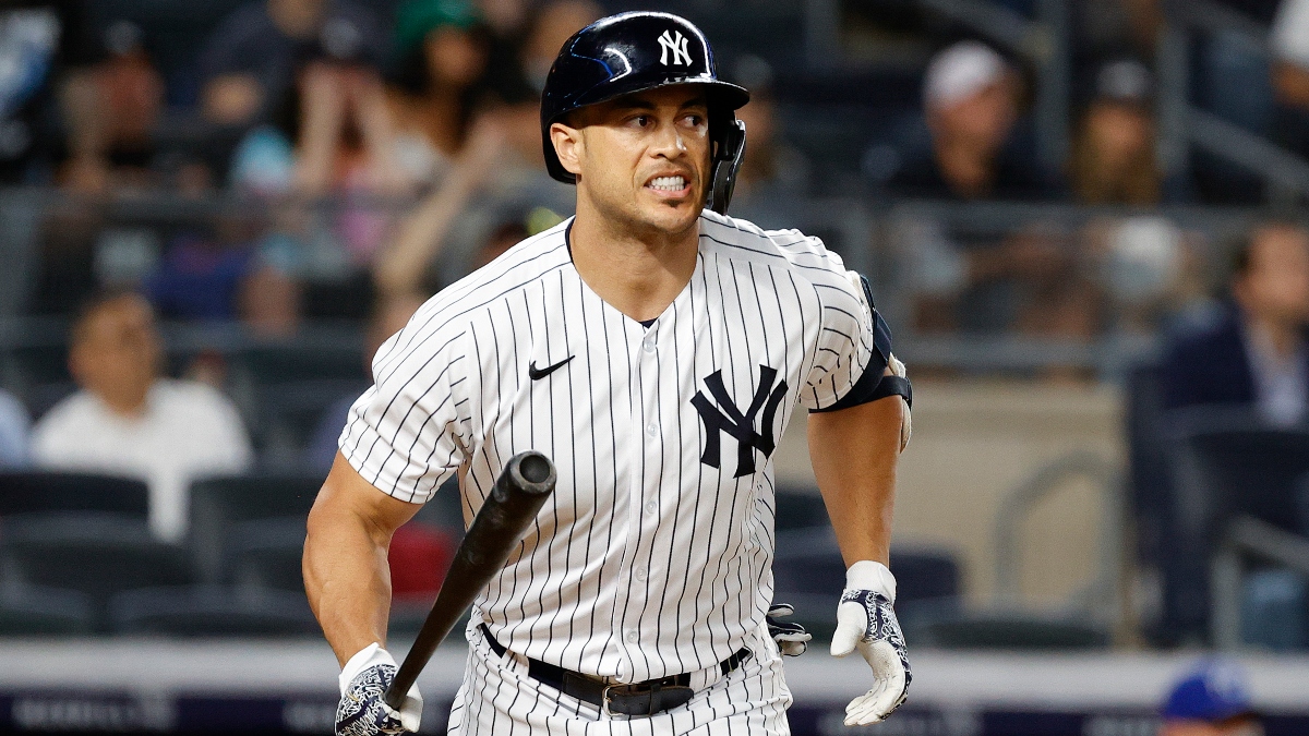 Thursday MLB Betting Odds, Picks, Predictions: Sharp, Big Money Hitting Cardinals/Brewers, Blue Jays/Yankees article feature image