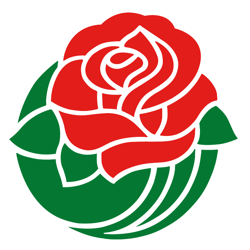 college football-rose bowl-game