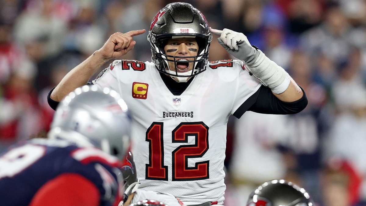 Bookmakers Win Big on Buccaneers vs. Patriots Image