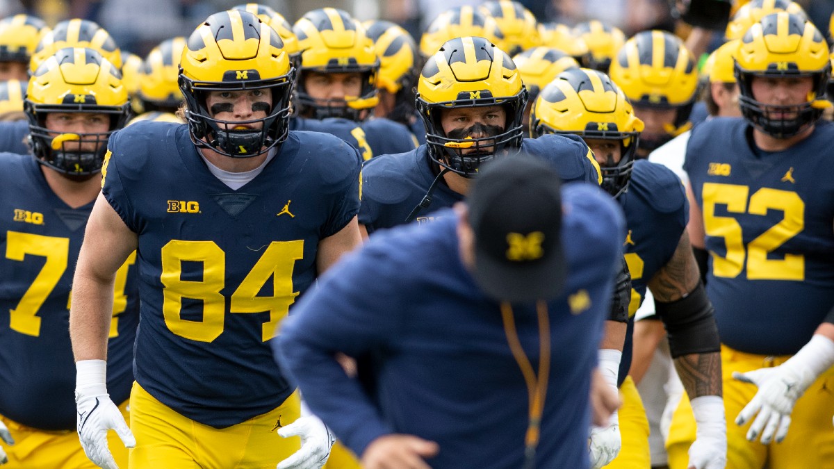 Illinois vs Michigan Odds & Predictions: Betting Value on Over/Under article feature image