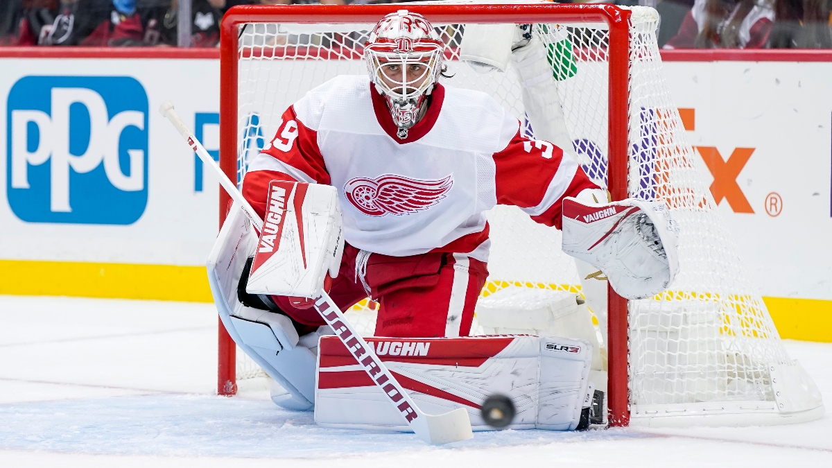 Detroit Red Wings: Alex Nedeljkovic steady as a rock in New York