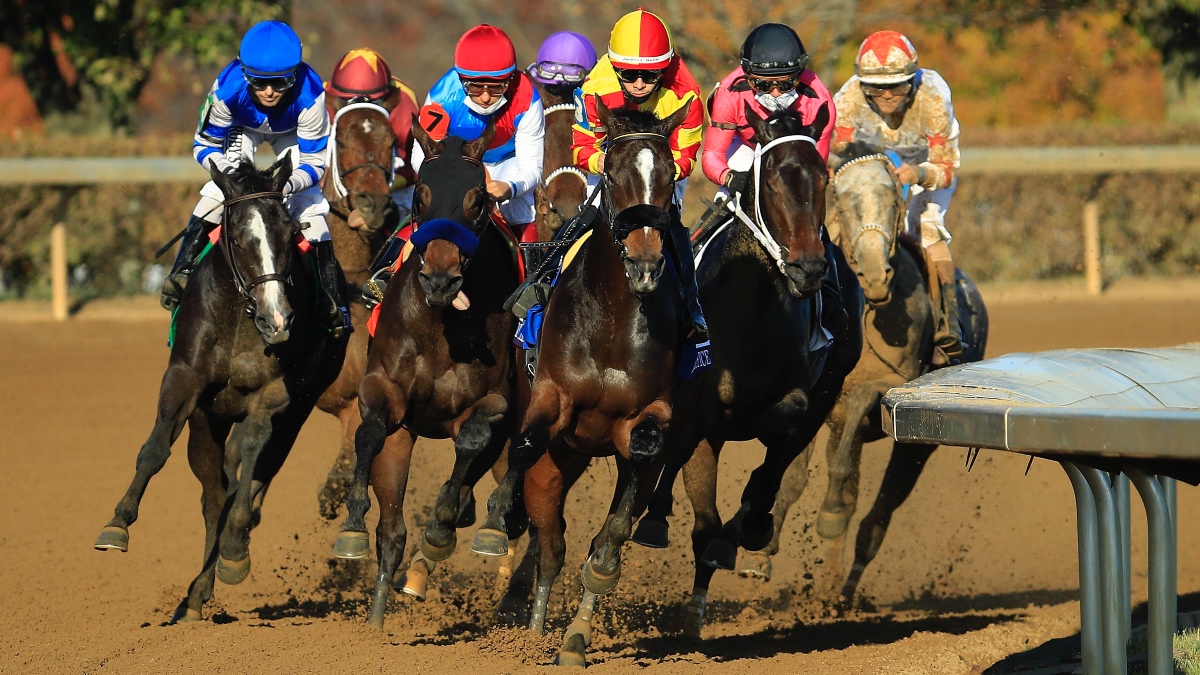 Fanduel horse racing promo code leans in betting what is money