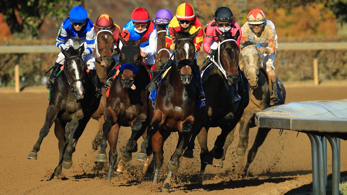 fanduel sportsbook and horse racing picks