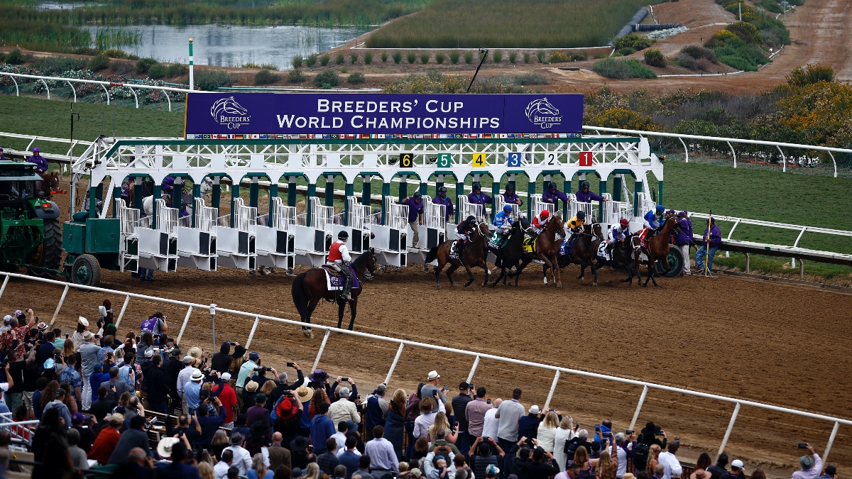 Breeders’ Cup Odds, Promo: The Best Way to Use Your Risk-Free $300 First Bet article feature image