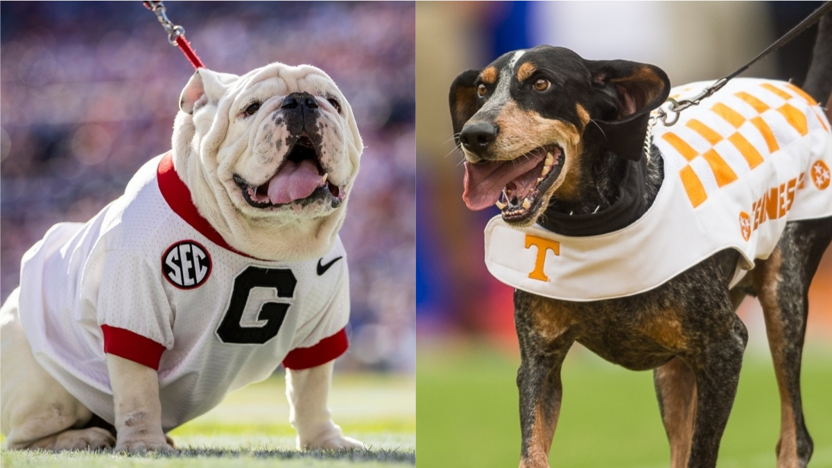 Georgia vs. Tennessee Odds, Promo: Bet $10, Win $200 if Either Team Covers +50! article feature image