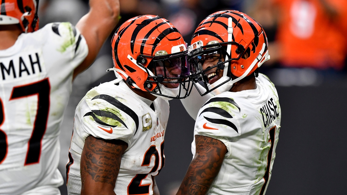 NFL Survivor Pool Picks: Bengals Are Top Pick For Week 12 While Patriots Are A Second Option, But Avoid Eagles article feature image