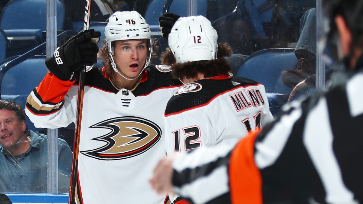 NHL Odds, Preview, Prediction: Ducks vs. Wild (Jan. 14) article feature image