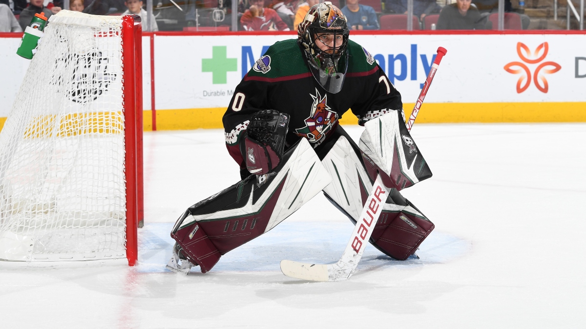 Coyotes vs. Islanders NHL Odds, Picks, Predictions: Will the Goalies Steal the Show? (Jan. 21) article feature image