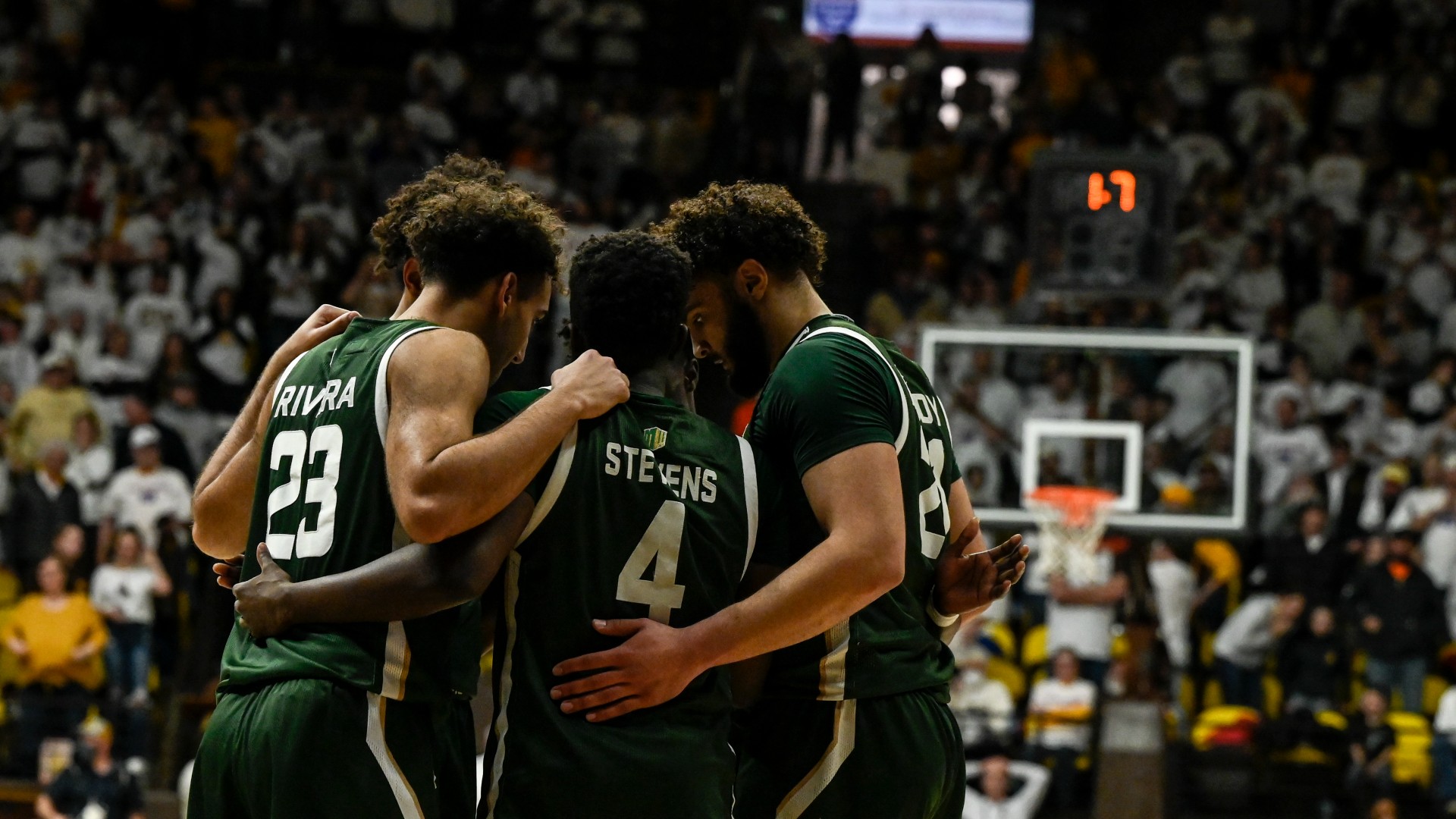 College Basketball Mid-Major Betting Report: Breaking Down Colorado State, Davidson & Montana State article feature image