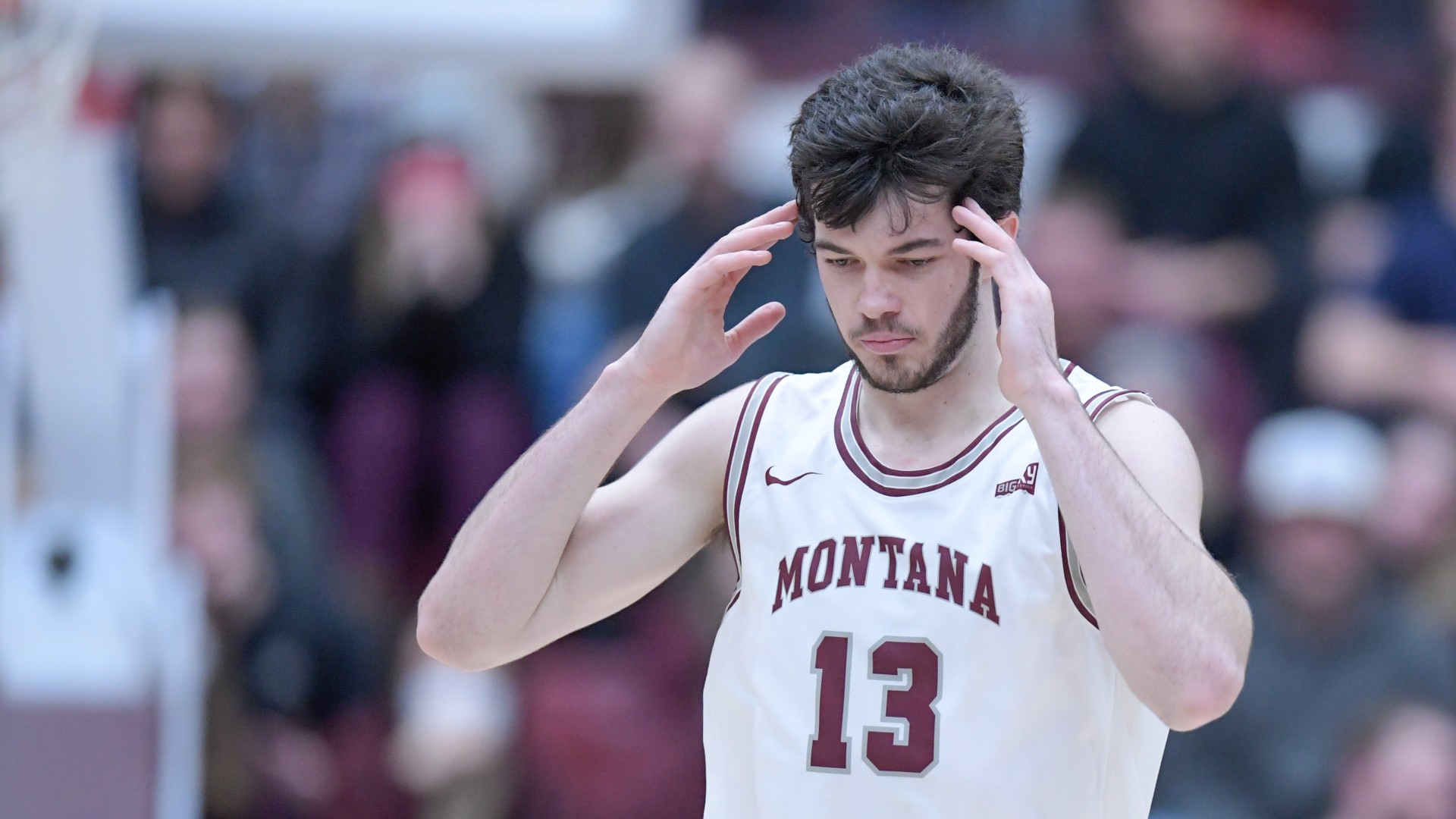 Montana vs. Weber State College Basketball Odds, Picks, Predictions: Do Grizzlies Have Wildcats’ Number? (Thursday, February 3) article feature image
