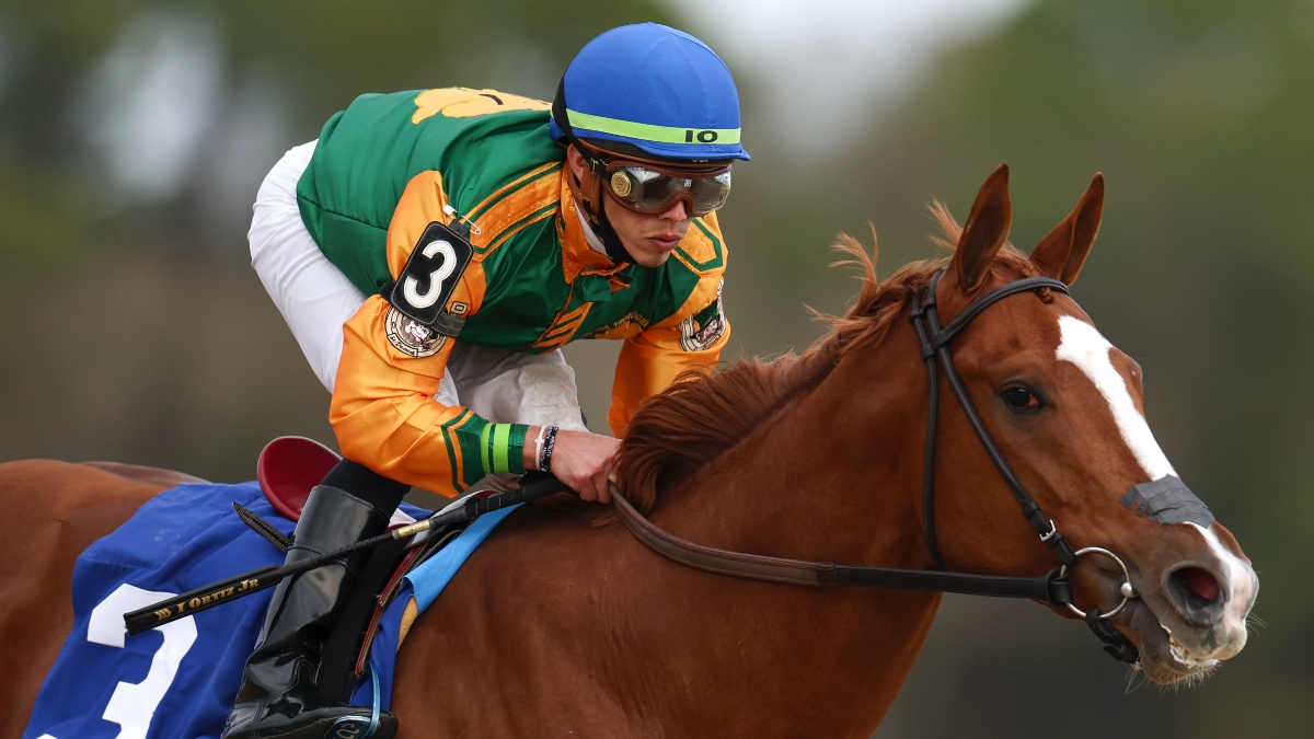 2022 Kentucky Derby Prep Race Betting Odds & Picks: Classic Causeway Favored in Tampa Bay Derby (March 12) article feature image