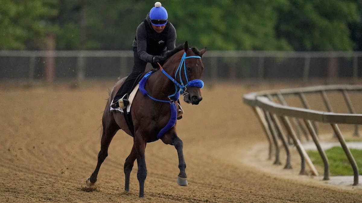Preakness Odds, Promo: Get a $250 Deposit Match & a $10 Free Bet! article feature image