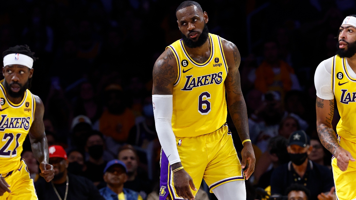 Bet the Lakers to Make or Miss the Playoffs? Experts Weigh In on