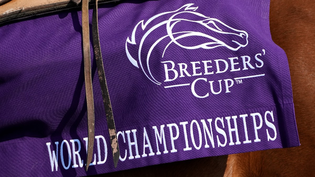 2022 Breeders’ Cup Betting Odds, Picks & Predictions: Best Bets for Saturday’s Races article feature image