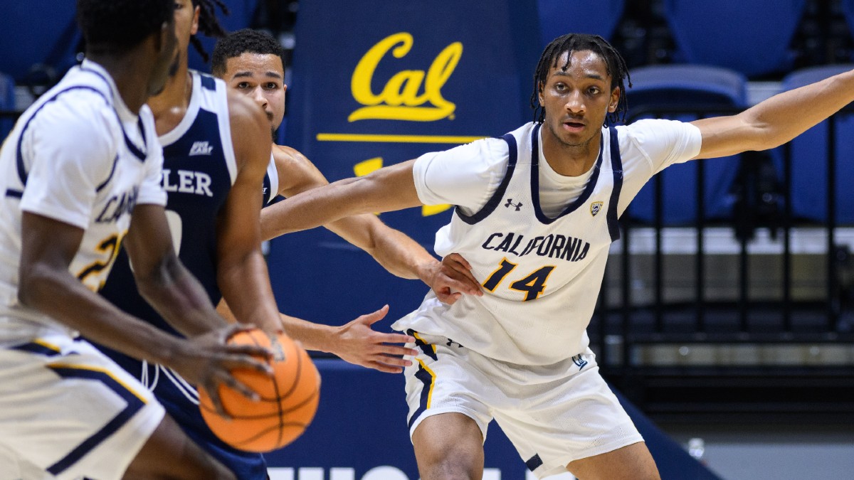 Stanford vs. Cal Odds, Picks | College Basketball Betting Guide article feature image
