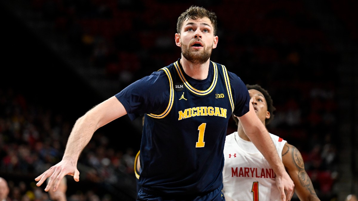 Purdue vs Michigan Odds, Picks | Dickinson to Win Battle With Edey article feature image