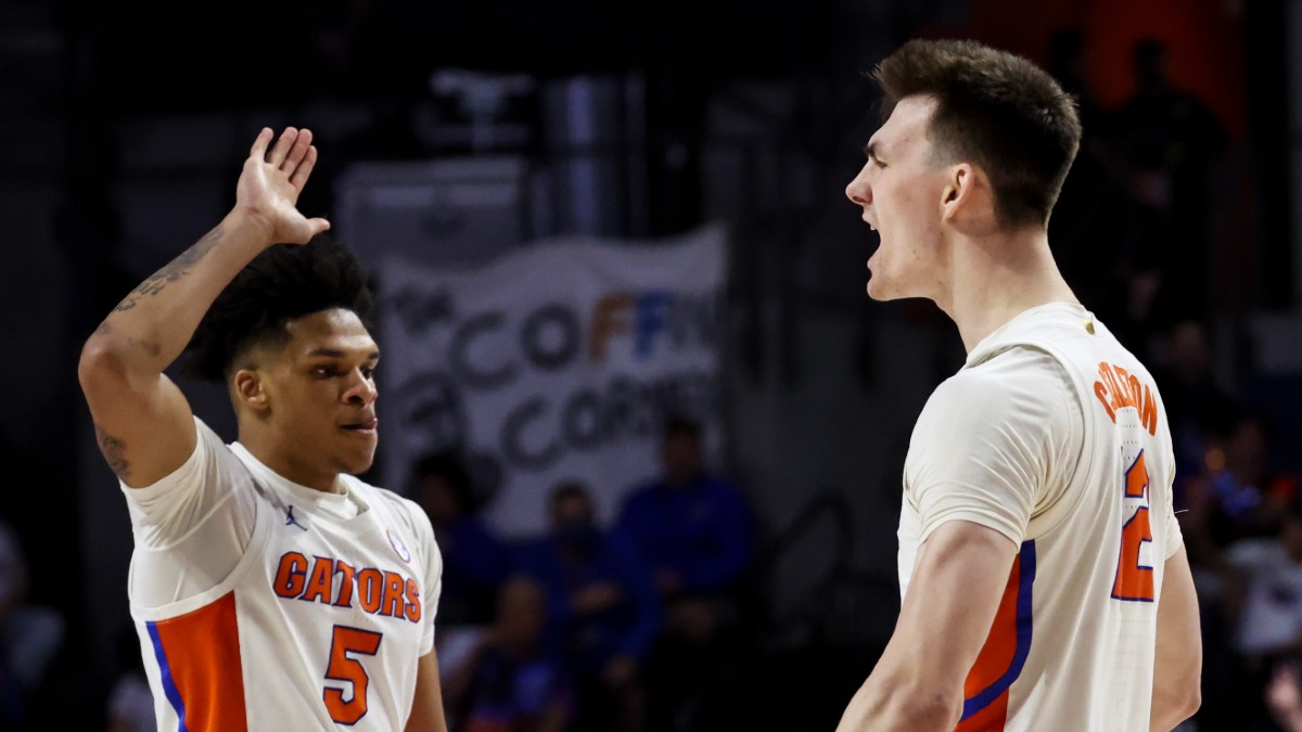 Florida vs Kentucky Odds & Prediction: Value on Road Underdog? article feature image