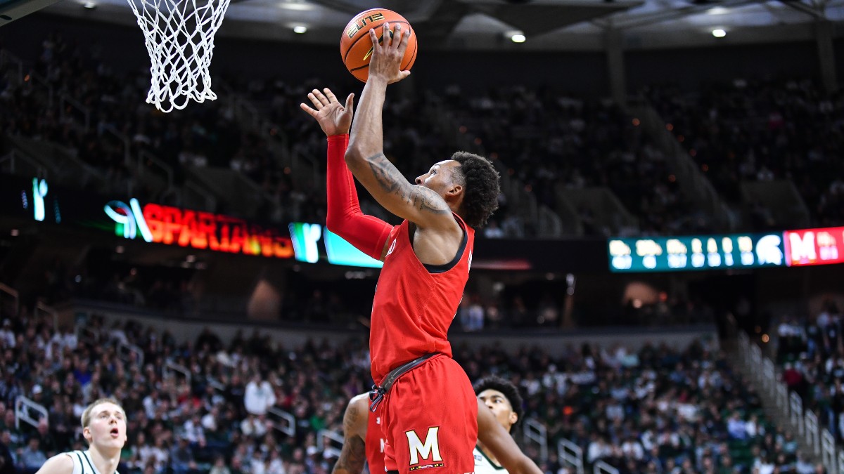 Purdue vs. Maryland Pick | College Basketball PRO Prediction (Feb. 16) article feature image