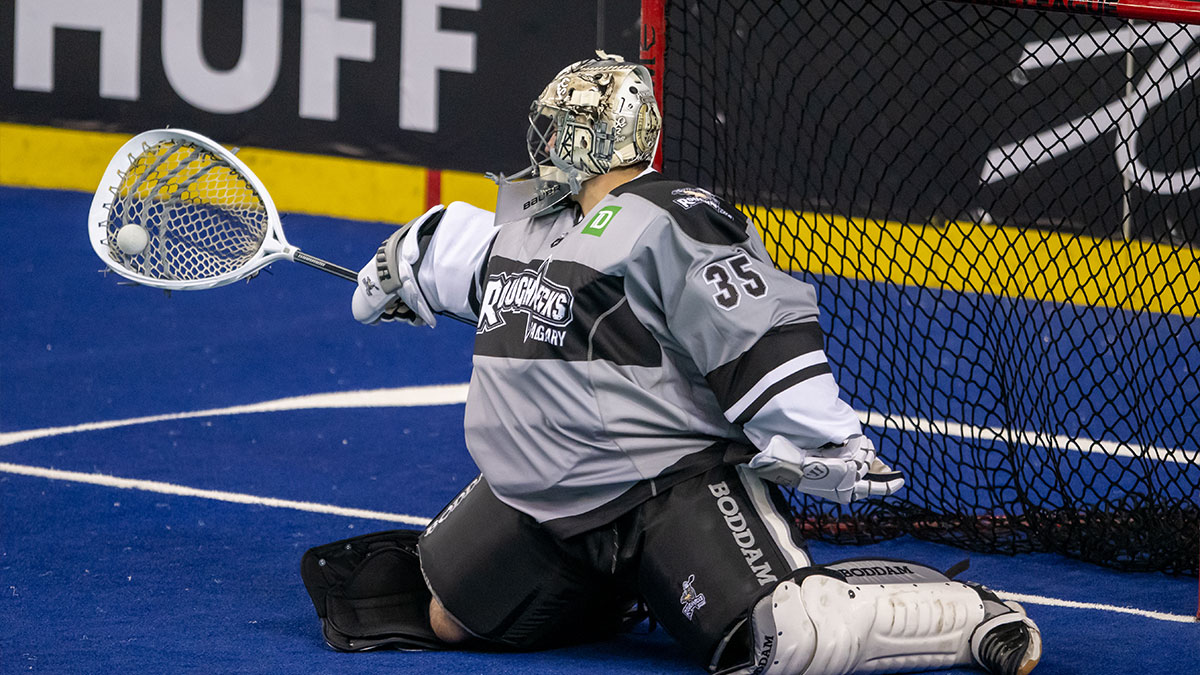 National Lacrosse League Betting Odds & Picks: NLL Week 19 article feature image