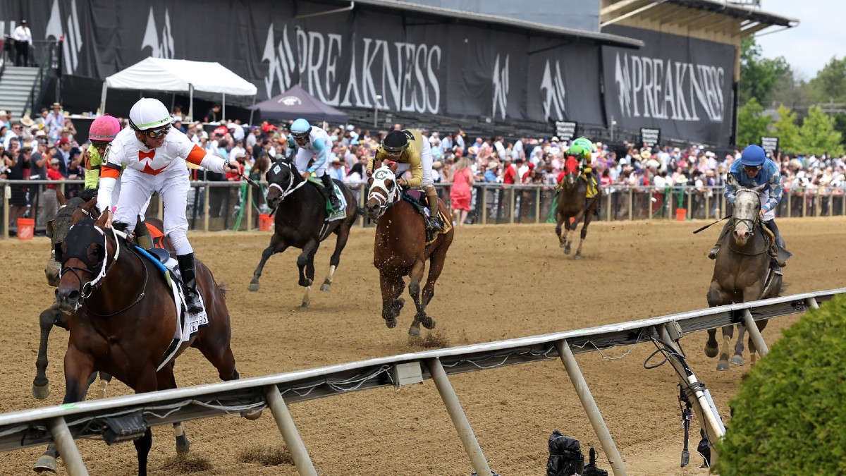 Preakness Stakes Best Bets: Expert Picks to Win, Superfectas, Longshots article feature image