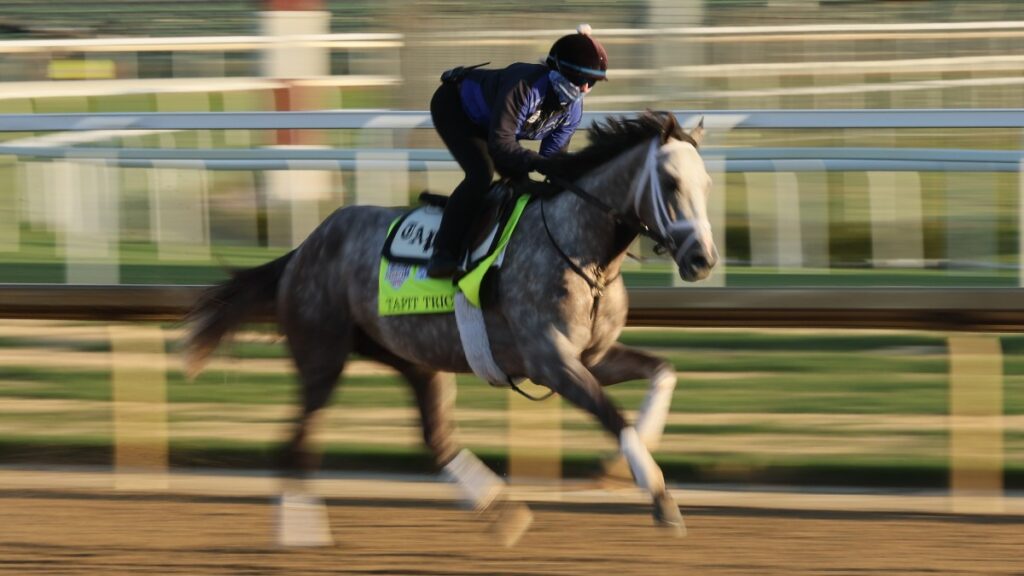 Lo Duca: Power Ranking Every Horse in the 2019 Kentucky Derby