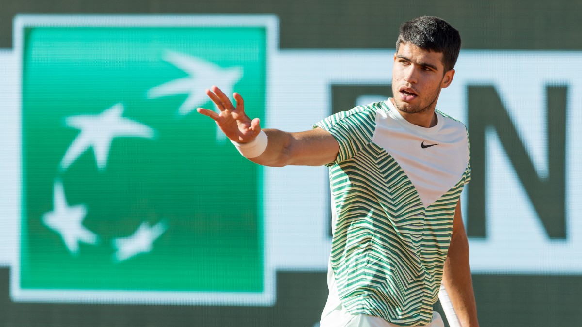 Carlos Alcaraz, Novak Djokovic on same half of French Open draw