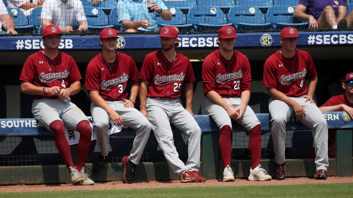 Columbia NCAA Regional Odds, Picks: Bets for South Carolina, Campbell in 2023 College Baseball Tournament article feature image