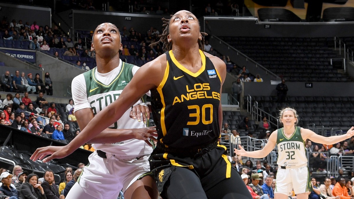 WNBA Odds, Best Bets Tuesday | Smart Sparks vs. Storm Pick article feature image