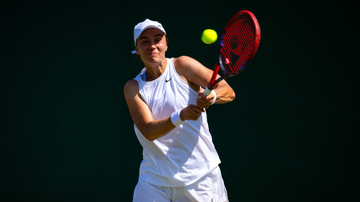 Citi Open Odds, Picks | Expert Betting Predictions For Cirstea vs Martic, Kalinina vs Brady (August 1) article feature image