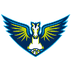 Dallas Wings Logo